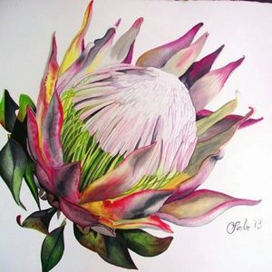 Meet your Posher, Makelina